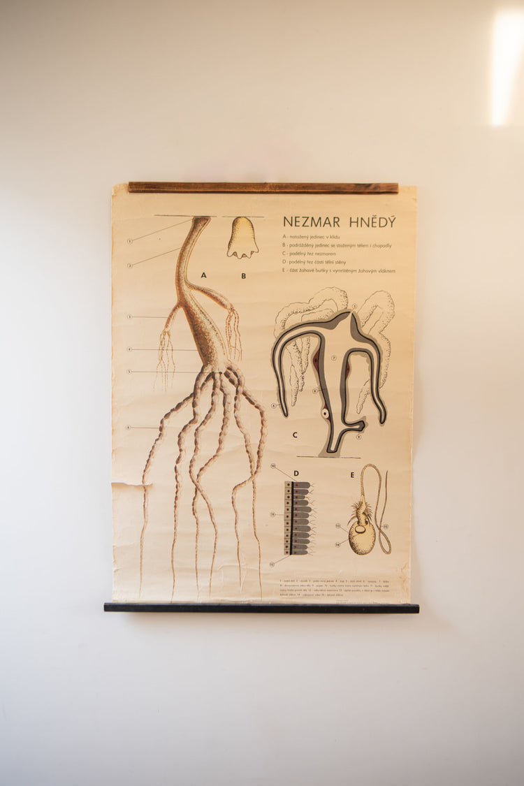 ヴィンテージ ウォールアート